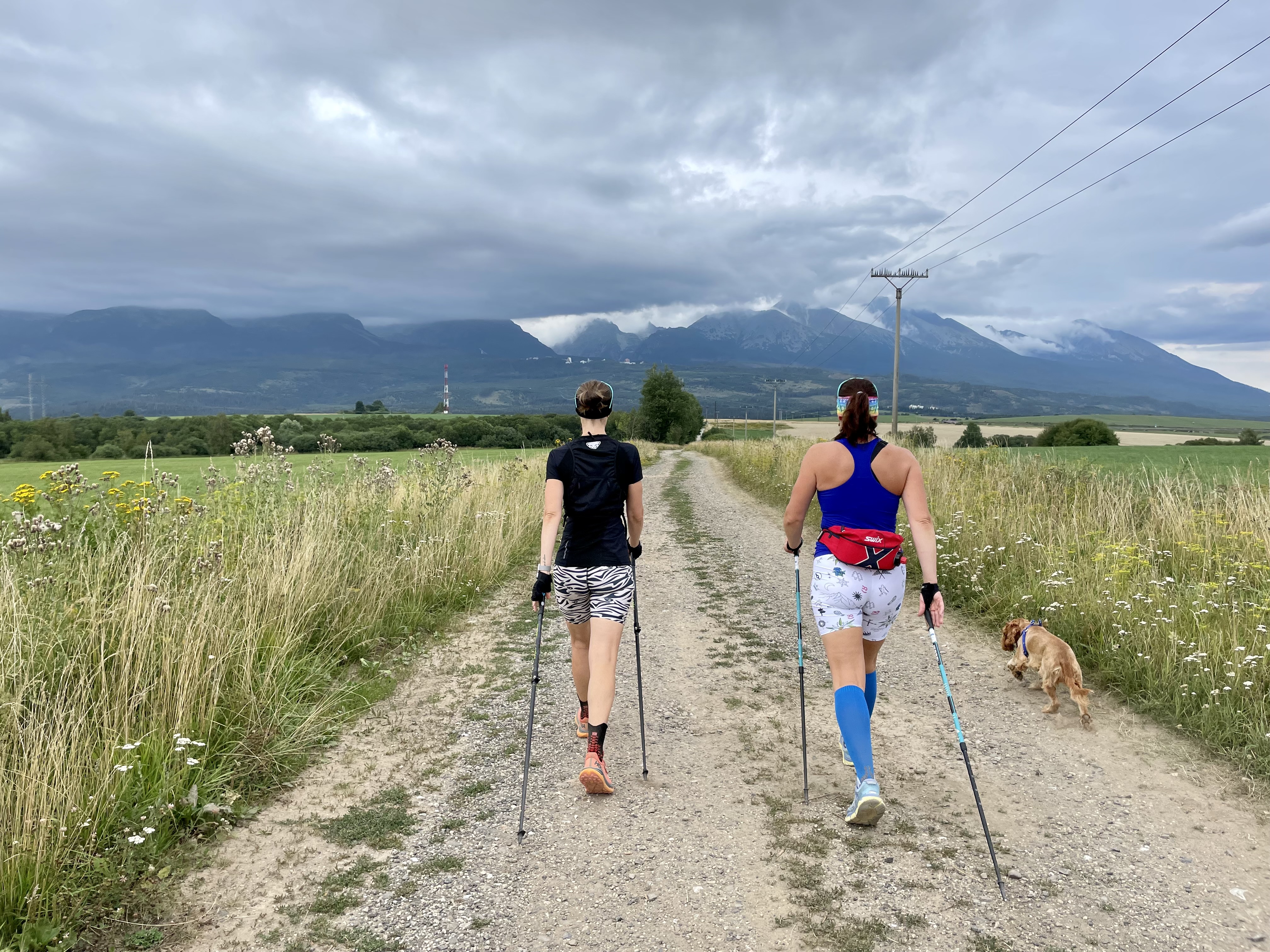 Nordic walking - koľkokrát do týždňa?